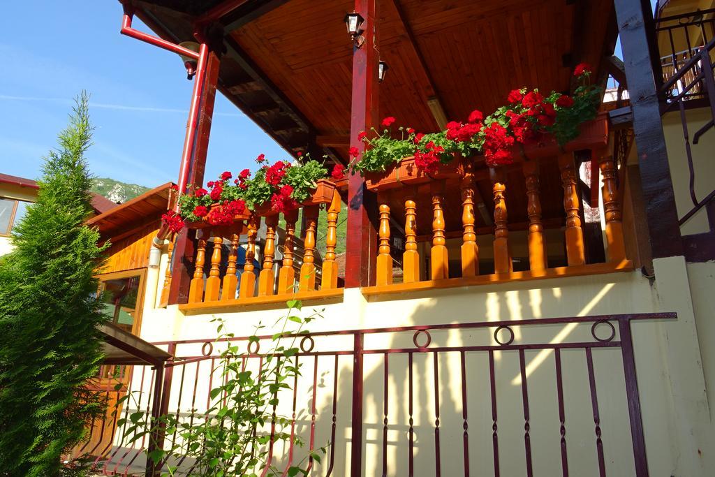 Pension Cuibul Viselor Băile Herculane Exterior photo