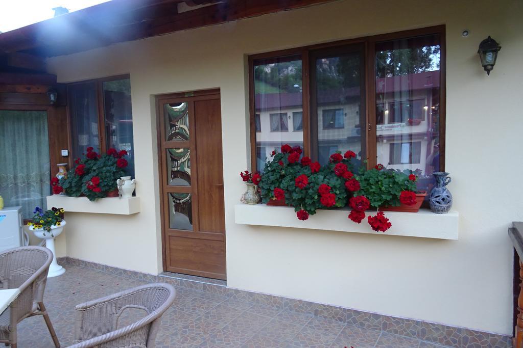 Pension Cuibul Viselor Băile Herculane Exterior photo
