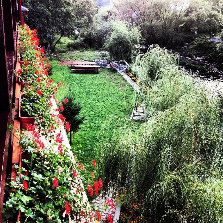 Pension Cuibul Viselor Băile Herculane Exterior photo